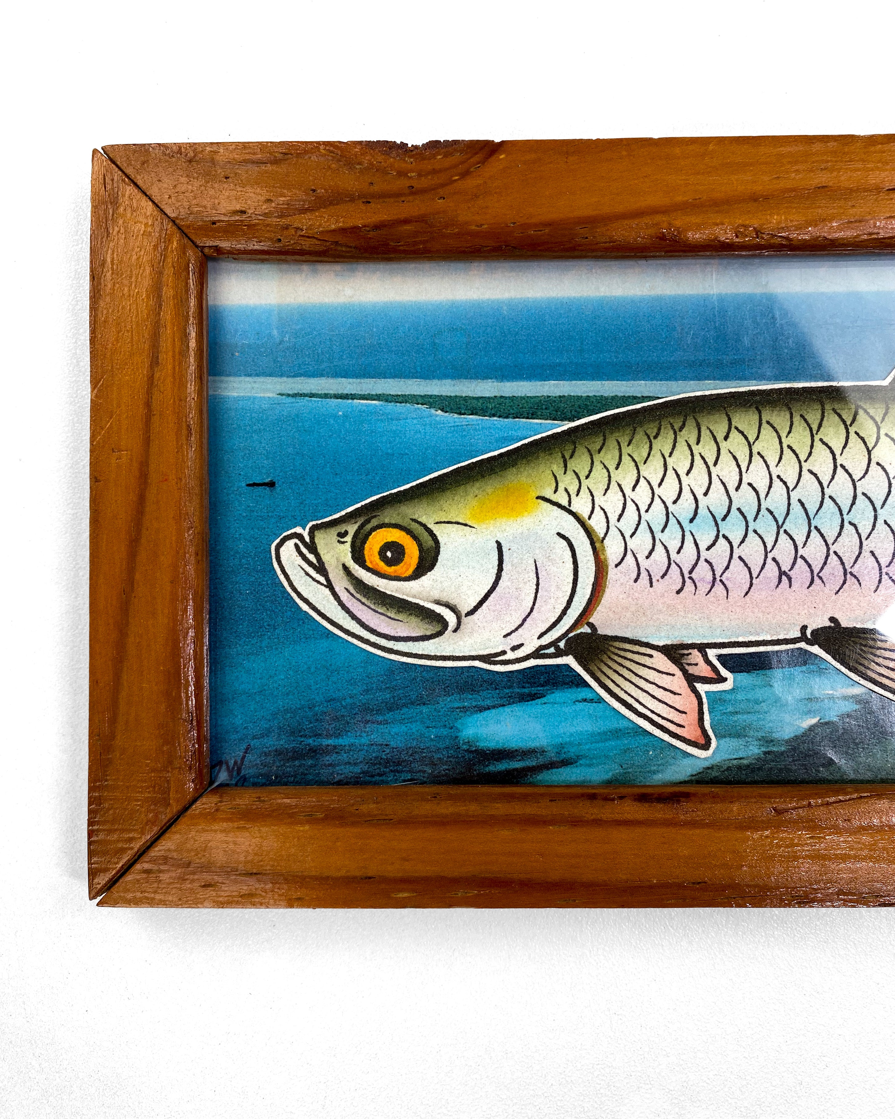 'Tarpon' by Drew Wilson - GHOSTSHIP.Supply